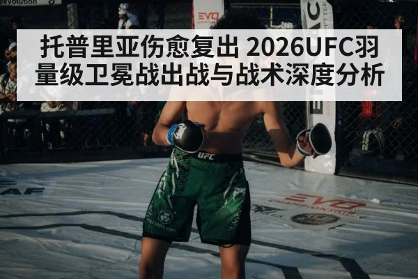 MMA fighter in octagon